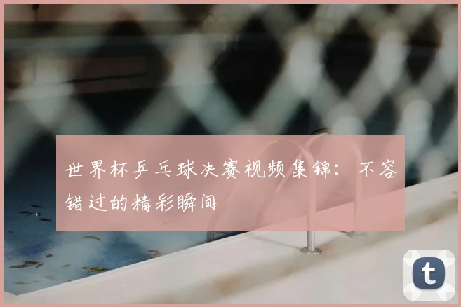 世界杯乒乓球决赛视频集锦：不容错过的精彩瞬间