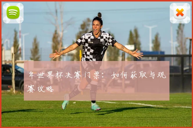 年世界杯决赛门票：如何获取与观赛攻略
