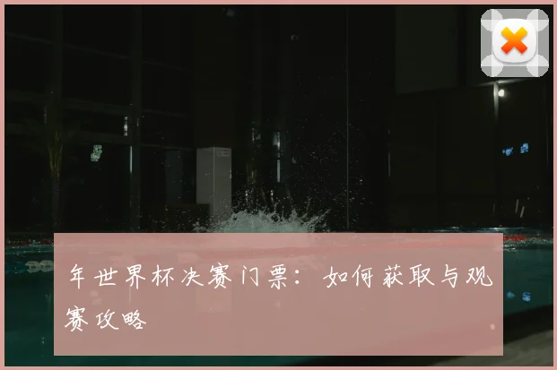 年世界杯决赛门票：如何获取与观赛攻略
