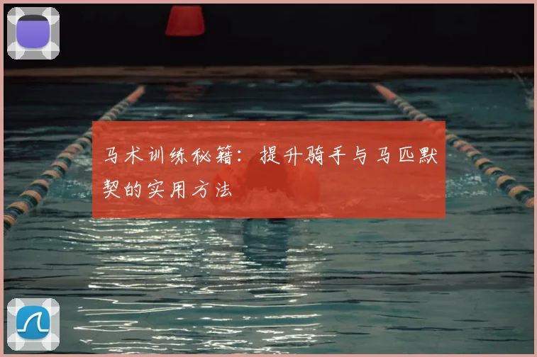 马术训练秘籍：提升骑手与马匹默契的实用方法